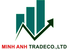 CÔNG TY TNHH ĐẦU TƯ PHÁT TRIỂN THƯƠNG MẠI VÀ XÂY DỰNG MINH ANH